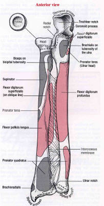 622177206_2707f1fd_radius1 (1).jpg